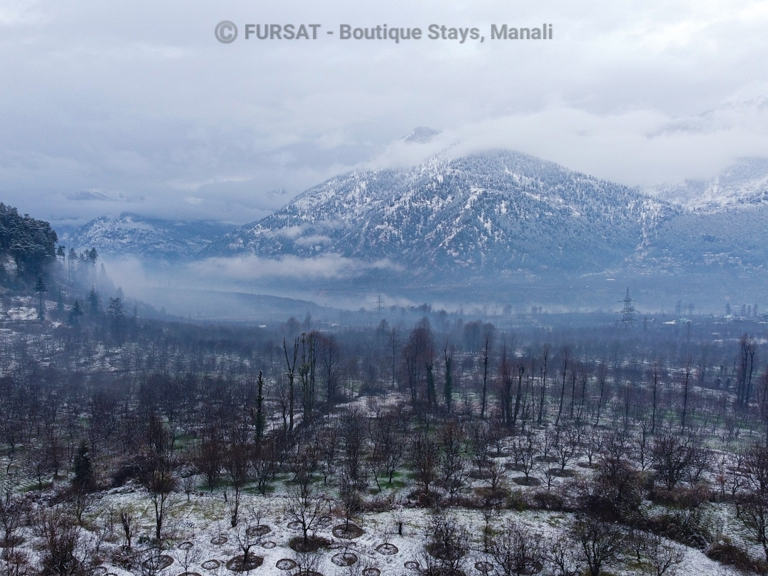 View - DJI 0007